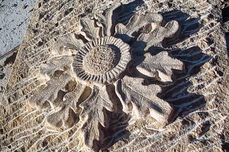 Grabados piedra en León