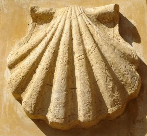 Detalle vieira en piedra